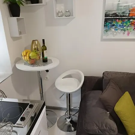 Apartment In The Centar Rijeka